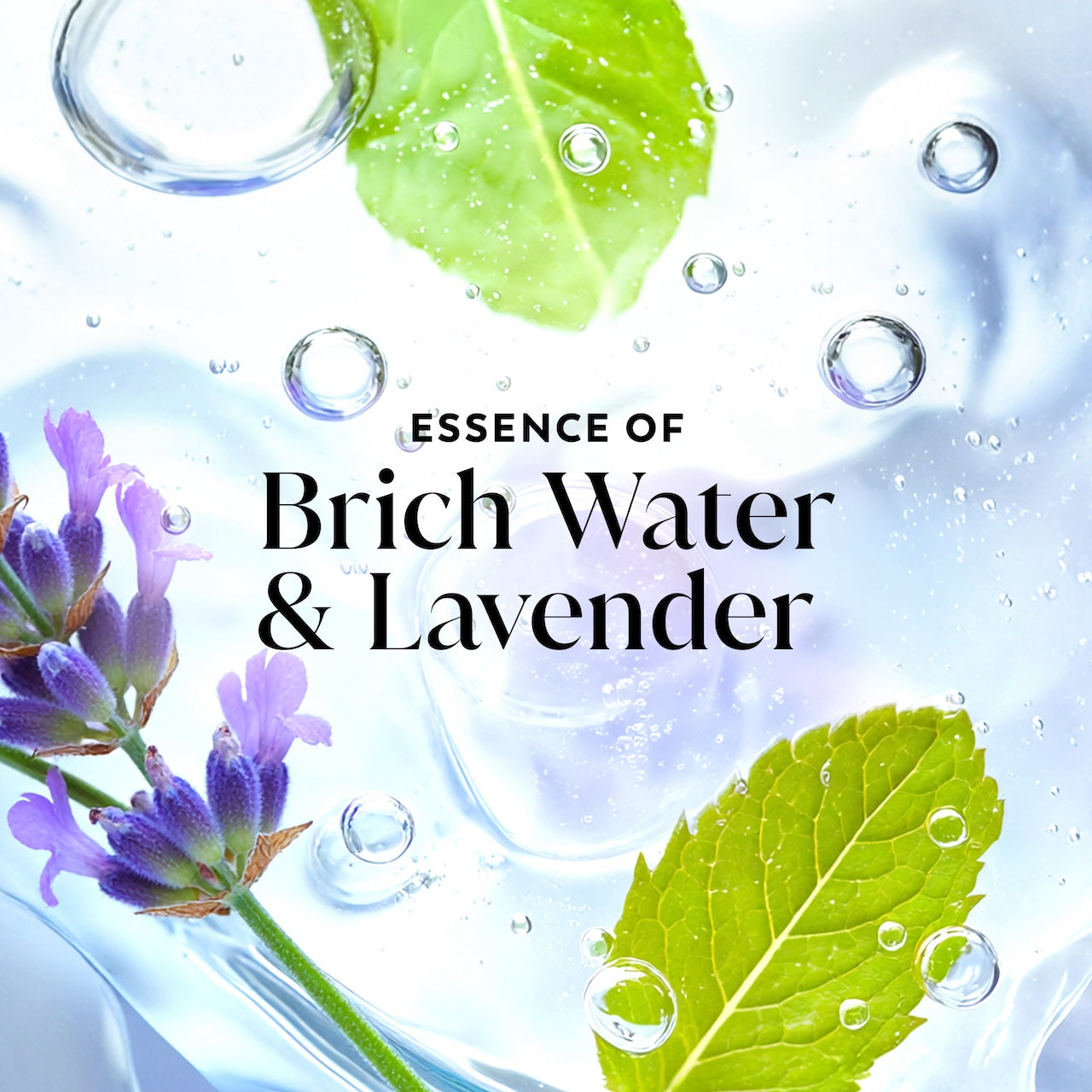 Olay Fresh Radiance Body Wash with Essence of Birch Water and Lavender. Vitamin B3 and Antioxidant Blend 35oz
