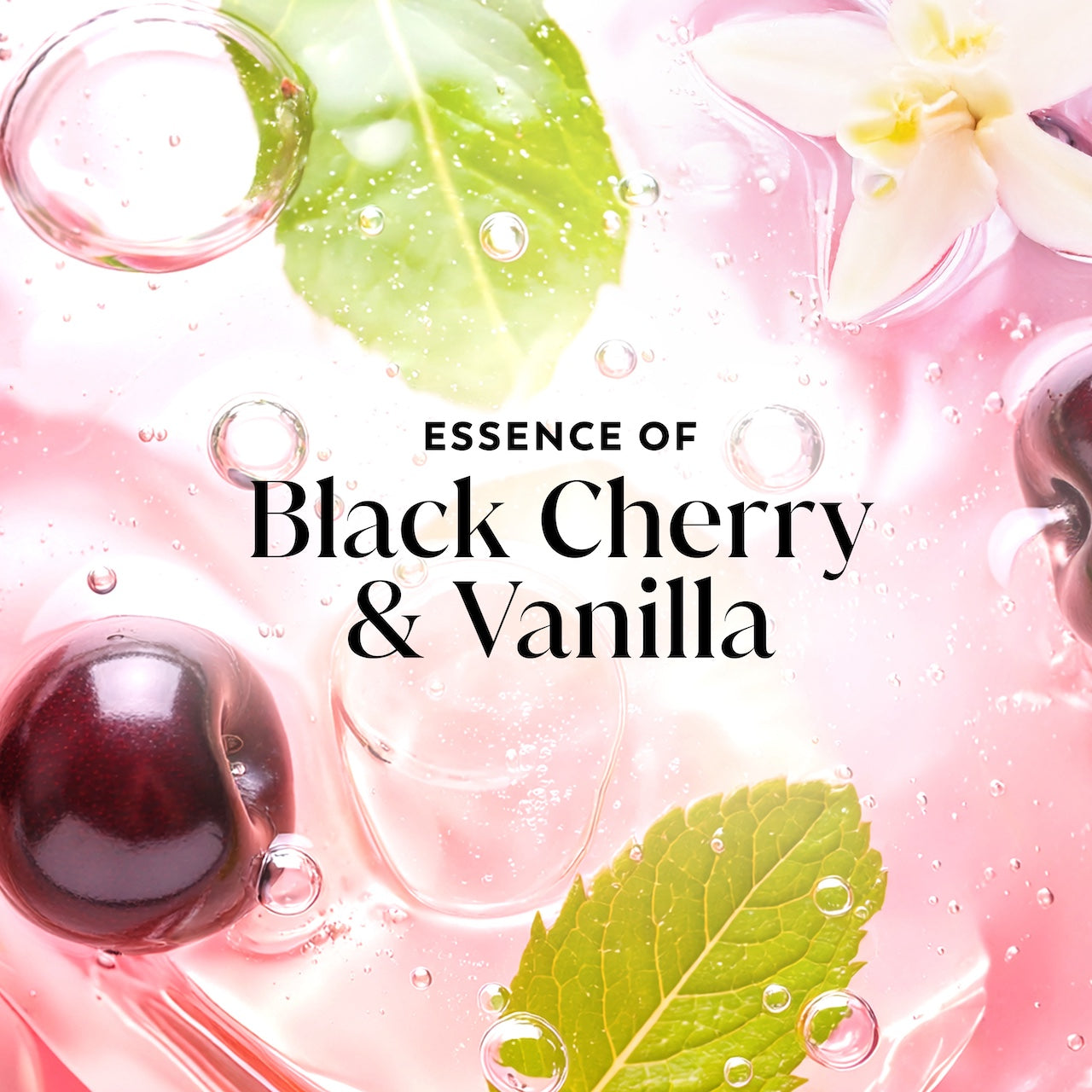 Olay Fresh Radiance Body Wash with Essence of Black Cherry and Vanilla. Vitamin B3 and Antioxidant Blend 22oz