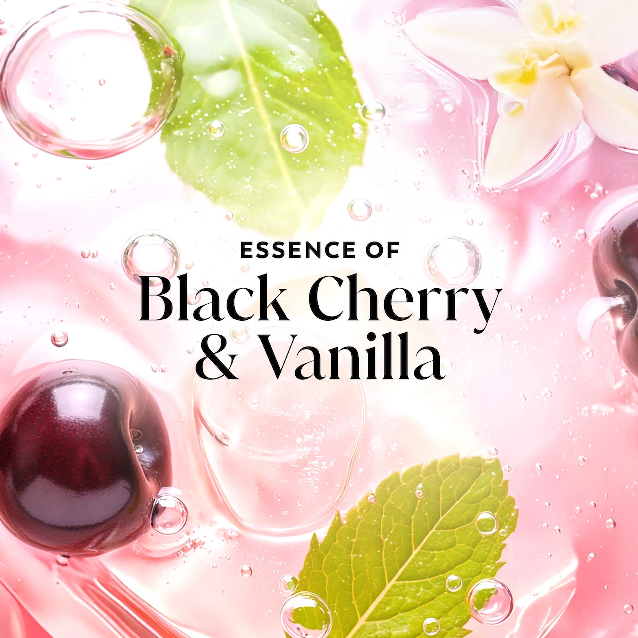 Olay Fresh Radiance Body Wash with Essence of Black Cherry and Vanilla. Vitamin B3 and Antioxidant Blend 35oz