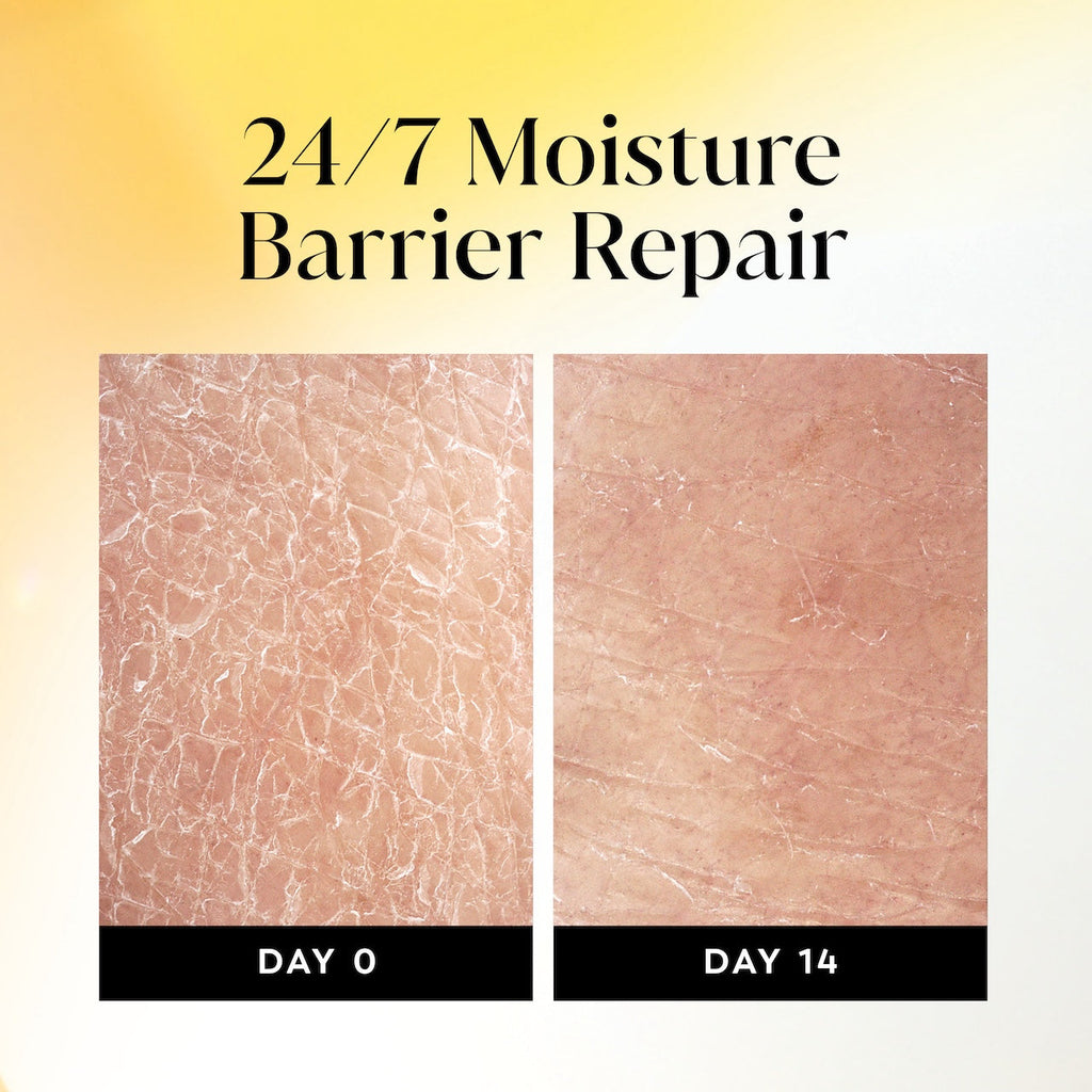 Ultra Moisture Body Wash Shea Butter